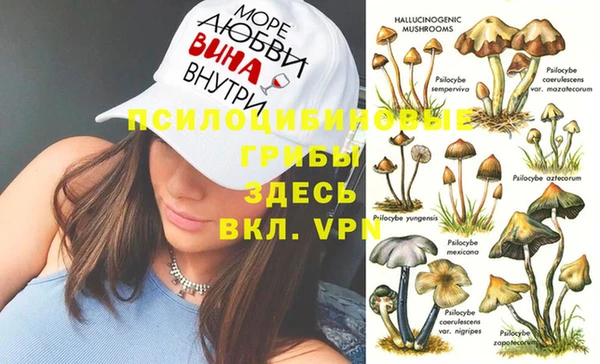 бошки Волоколамск