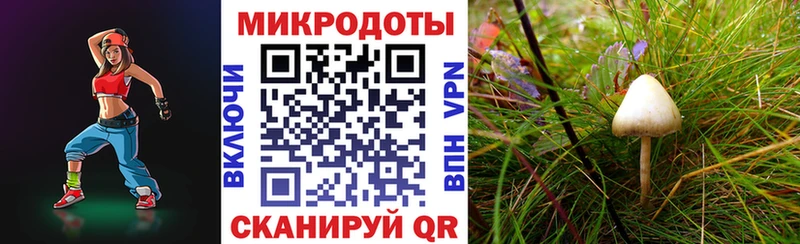 Галлюциногенные грибы мухоморы  Купить закладки  Княгинино 